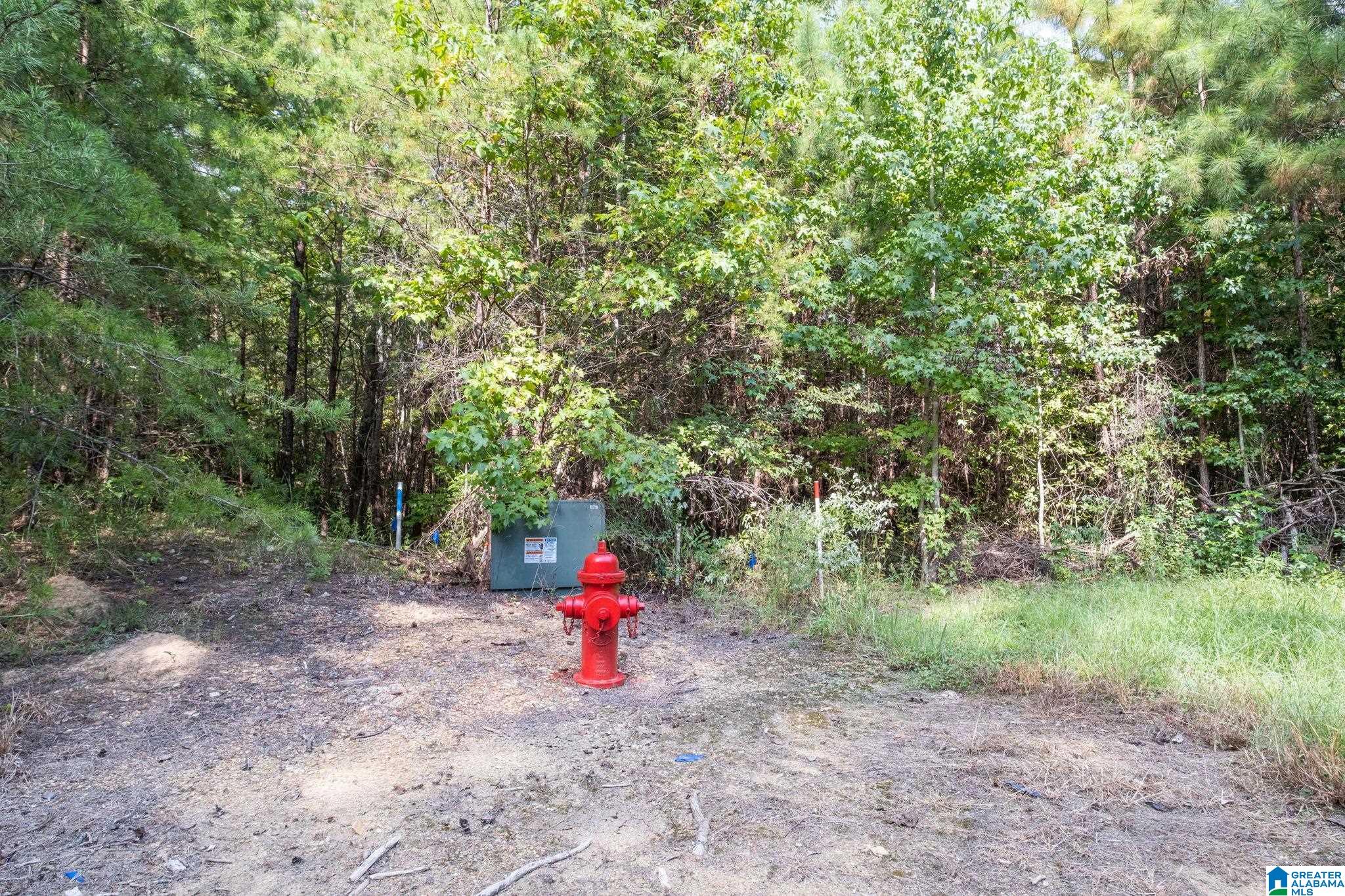 Lot 11 County Road 730, Unit 11 Clanton, AL 35046 - Photo 12 of 14