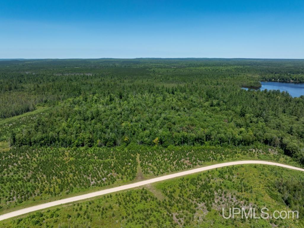 N6415 East Cook's Lake Road Wetmore, MI 49895 - Photo 19 of 20
