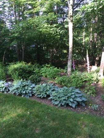 16 Cosma Road Easton, MA 02356 - Photo 33 of 39 Gallery Image 33