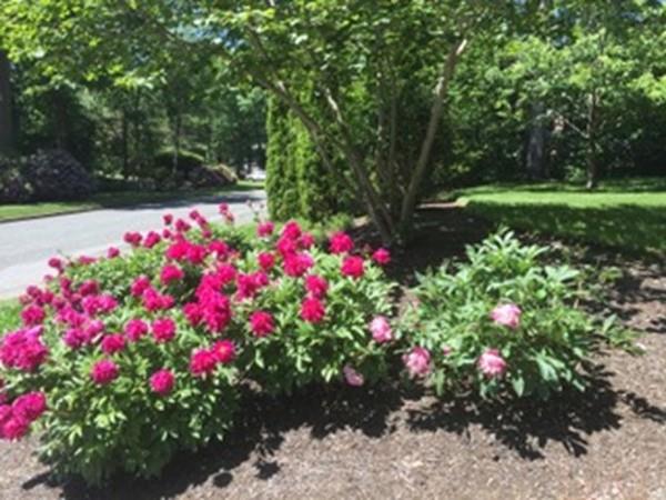 16 Cosma Road Easton, MA 02356 - Photo 36 of 39 Gallery Image 36