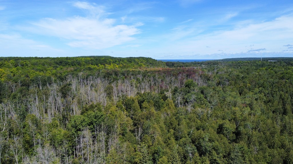 Tbd Spring Road Fish Creek, WI 54212 - Photo 2 of 5 Gallery Image 2