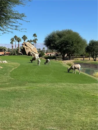 $11,095 | 57205 Merion, La Quinta, CA 92253