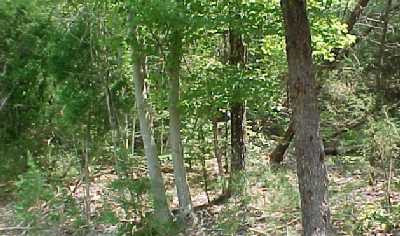 2 Trapp-Goffs Cor Road Winchester, KY 40391 - Photo 1 of 1 Lovely wooded lot with city water at the