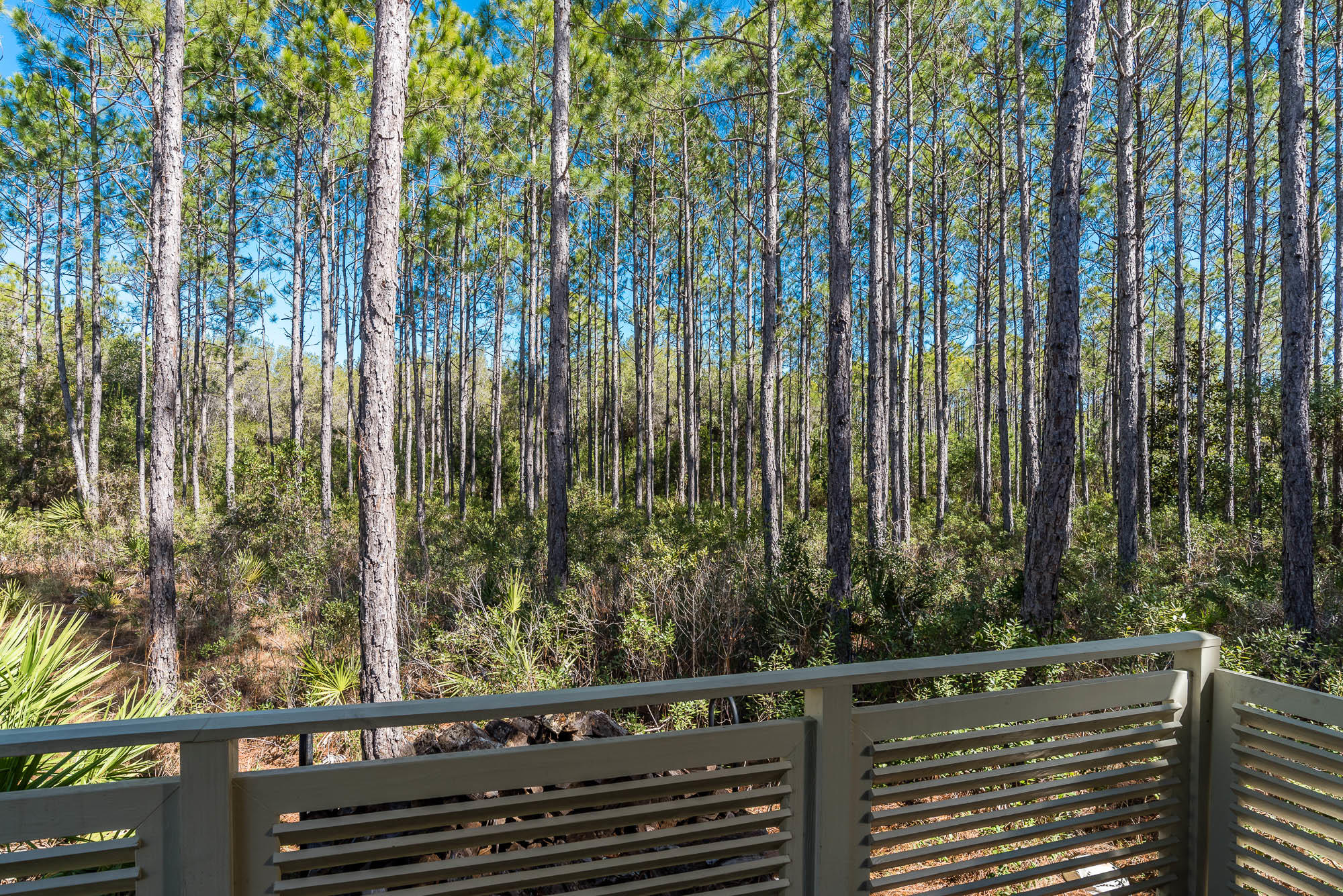 54 Thicket Circle Santa Rosa Beach, FL 32459 - Photo 35 of 72 9556460253