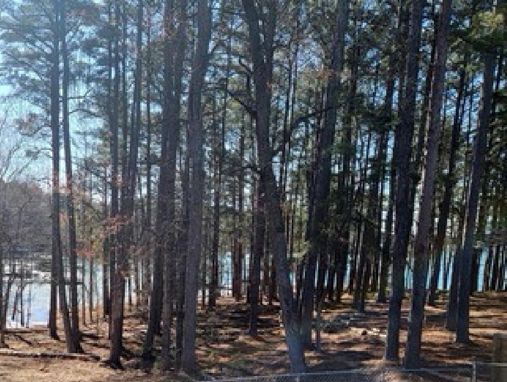 6090 Shadburn Ferry Road Buford, GA 30518 - Photo 29 of 39 Gallery Image 29