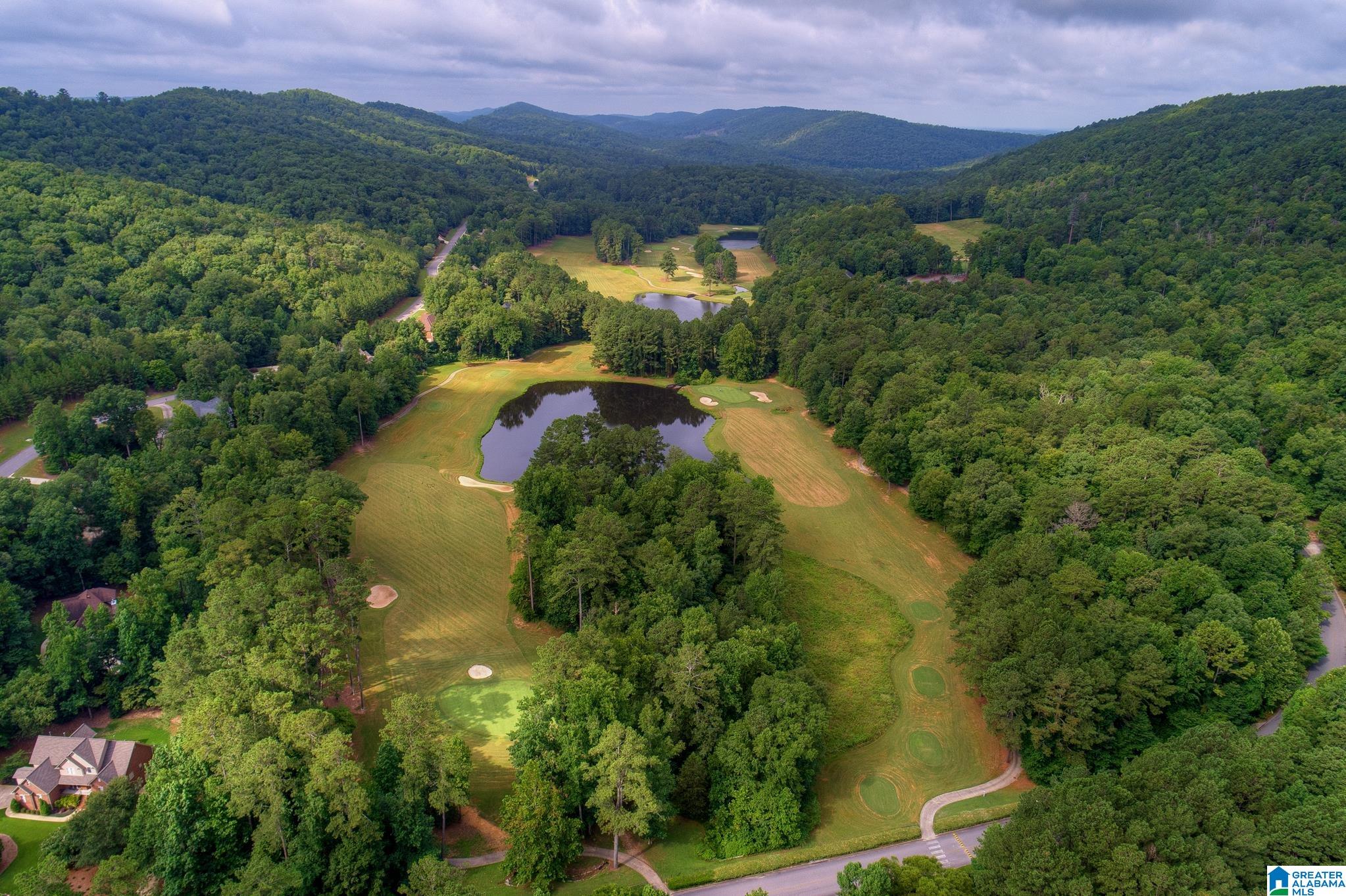 1675 St Andrews Parkway Oneonta, AL 35121 - Photo 42 of 50