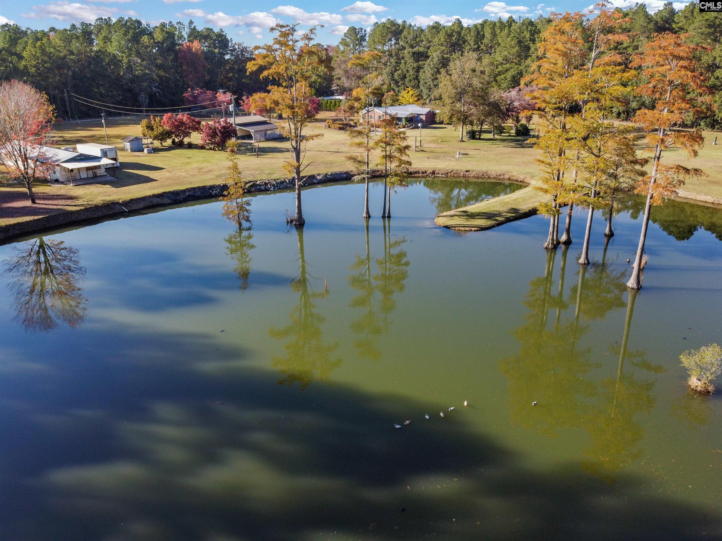 646 Briar Creek Road Branchville, SC 29432 - Photo 48 of 50