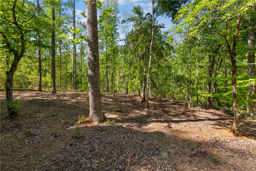9 Channel Lane Salem, SC 29676 - Photo 33 of 49