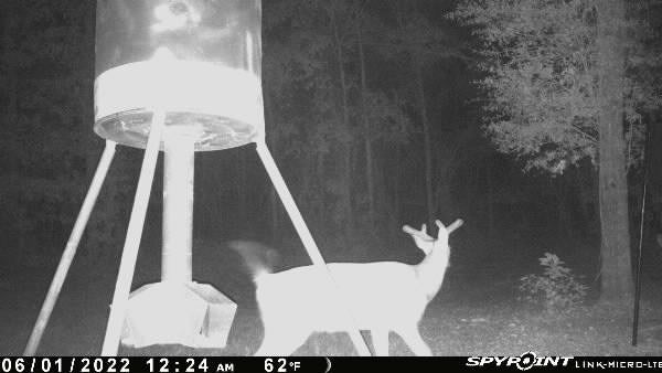 363 Jones Road Climax, GA 39834 - Photo 33 of 33 Gallery Image 33