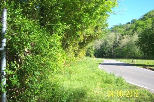 2444 Fairview Road Tellico Plains, TN 37385 - Photo 8 of 12 Additional Photo