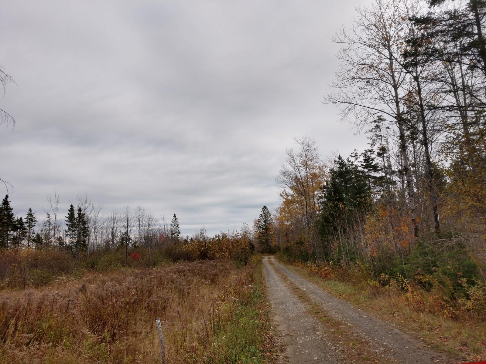 Lot 9 Spring Hill, Unit ACRES Amity, ME 04471 - Photo 3 of 5 IMG_20181019_143908792_HDR