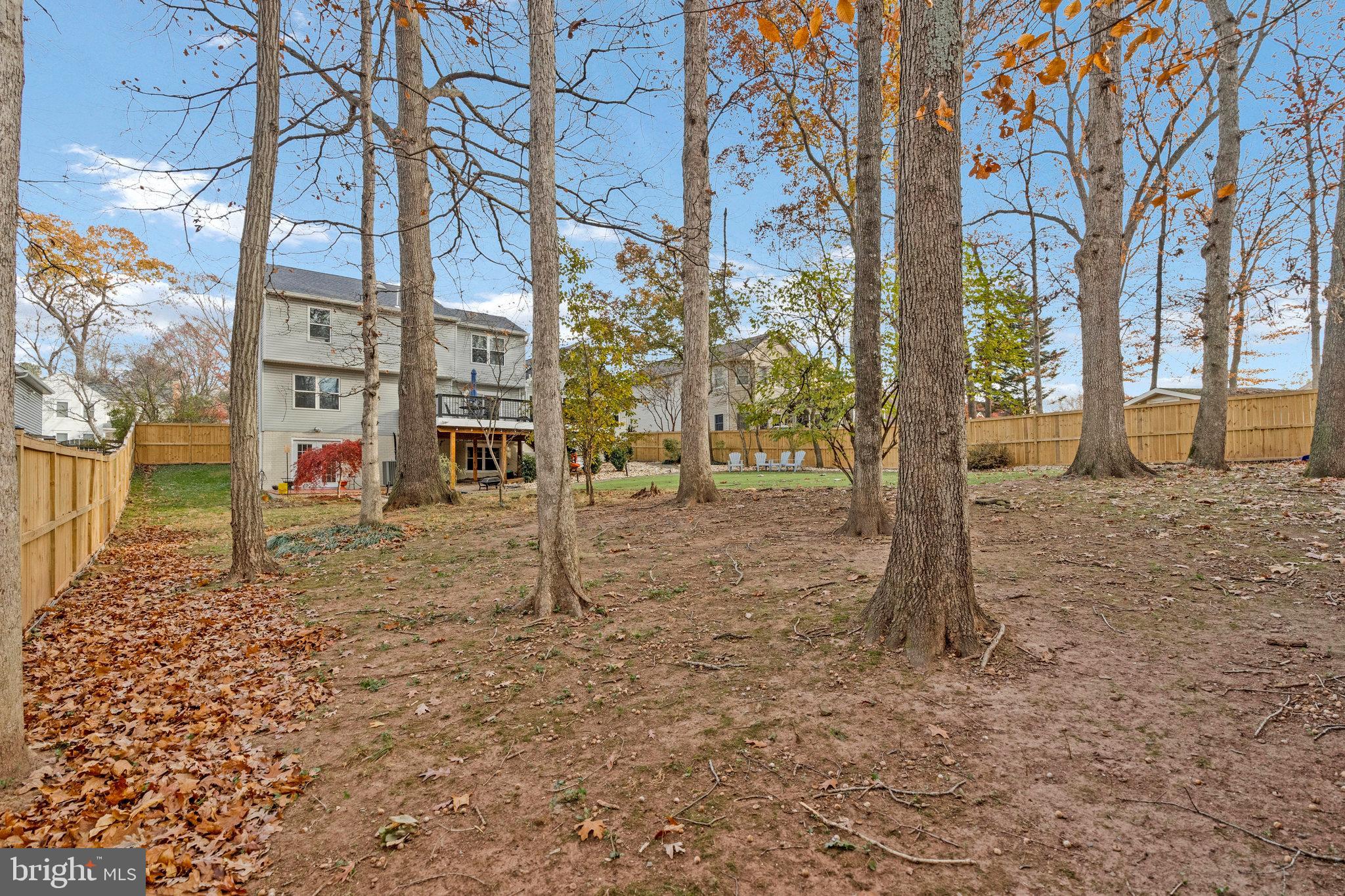 814 Potomac Ridge Court Sterling, VA 20164 - Photo 10 of 14 Walkout lower level with kitchenette, bath and BR.