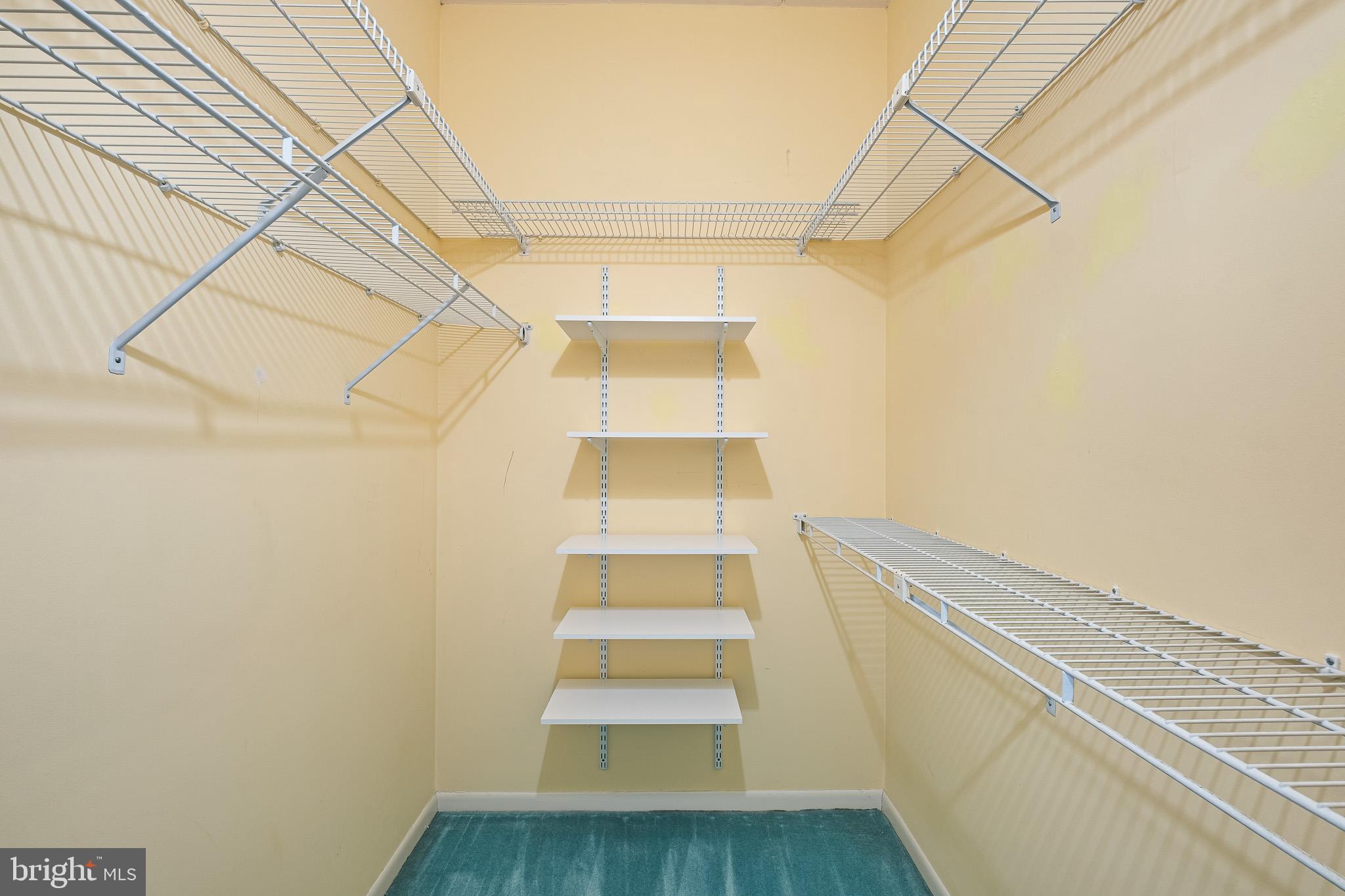 614 Loveville Road, Unit C05H Hockessin, DE 19707 - Photo 9 of 26 Primary bedroom walk-in Closet