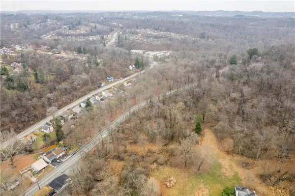a view of a yard
