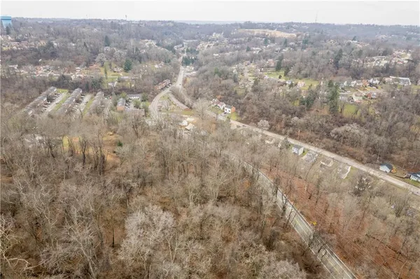 a view of a forest with a bridge