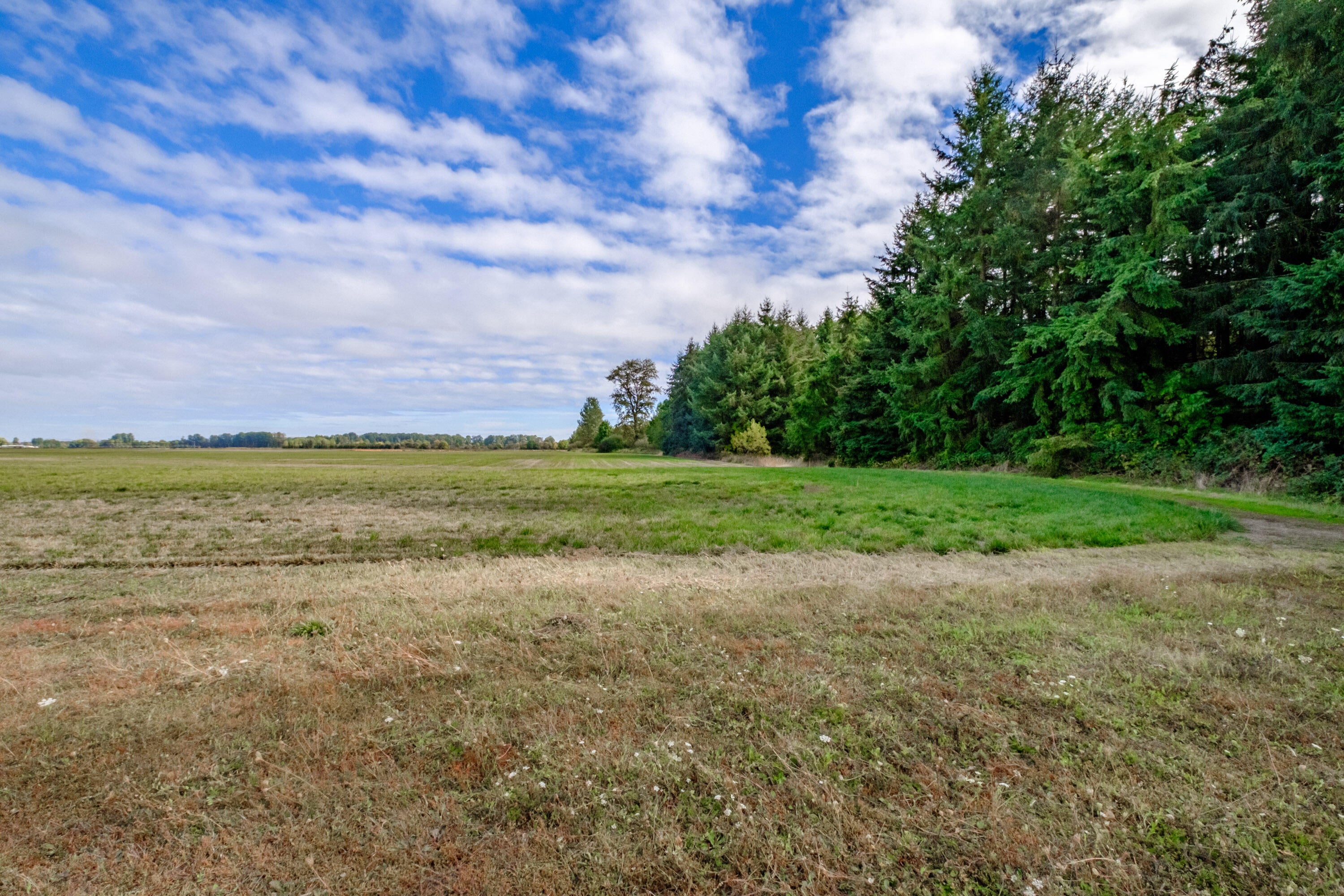 26527 Old River Road Monroe, OR 97456 - Photo 20 of 22 Export-41009
