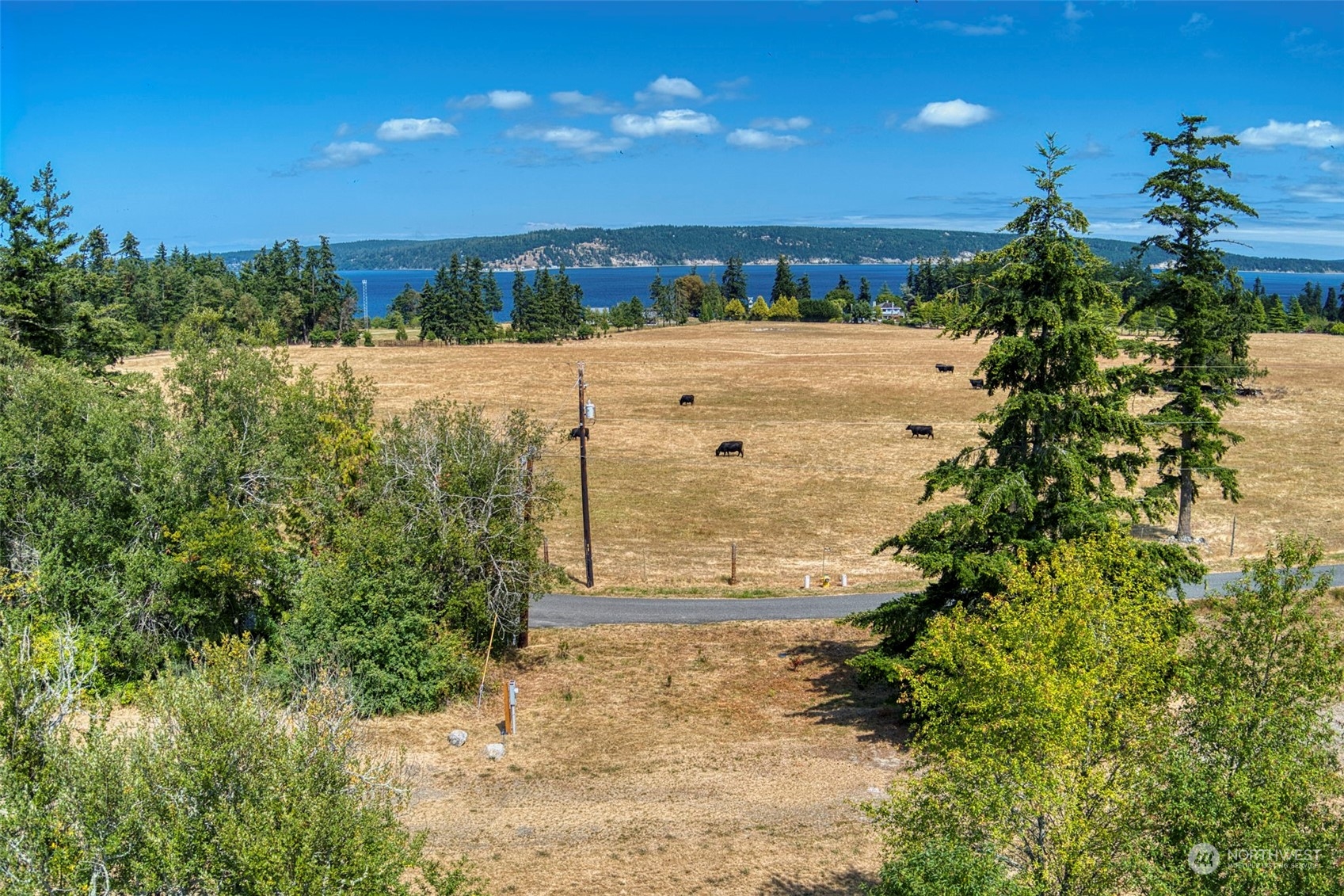 111 Daisey King Road Sequim, WA 98382 - Photo 1 of 17 Gallery Image 1