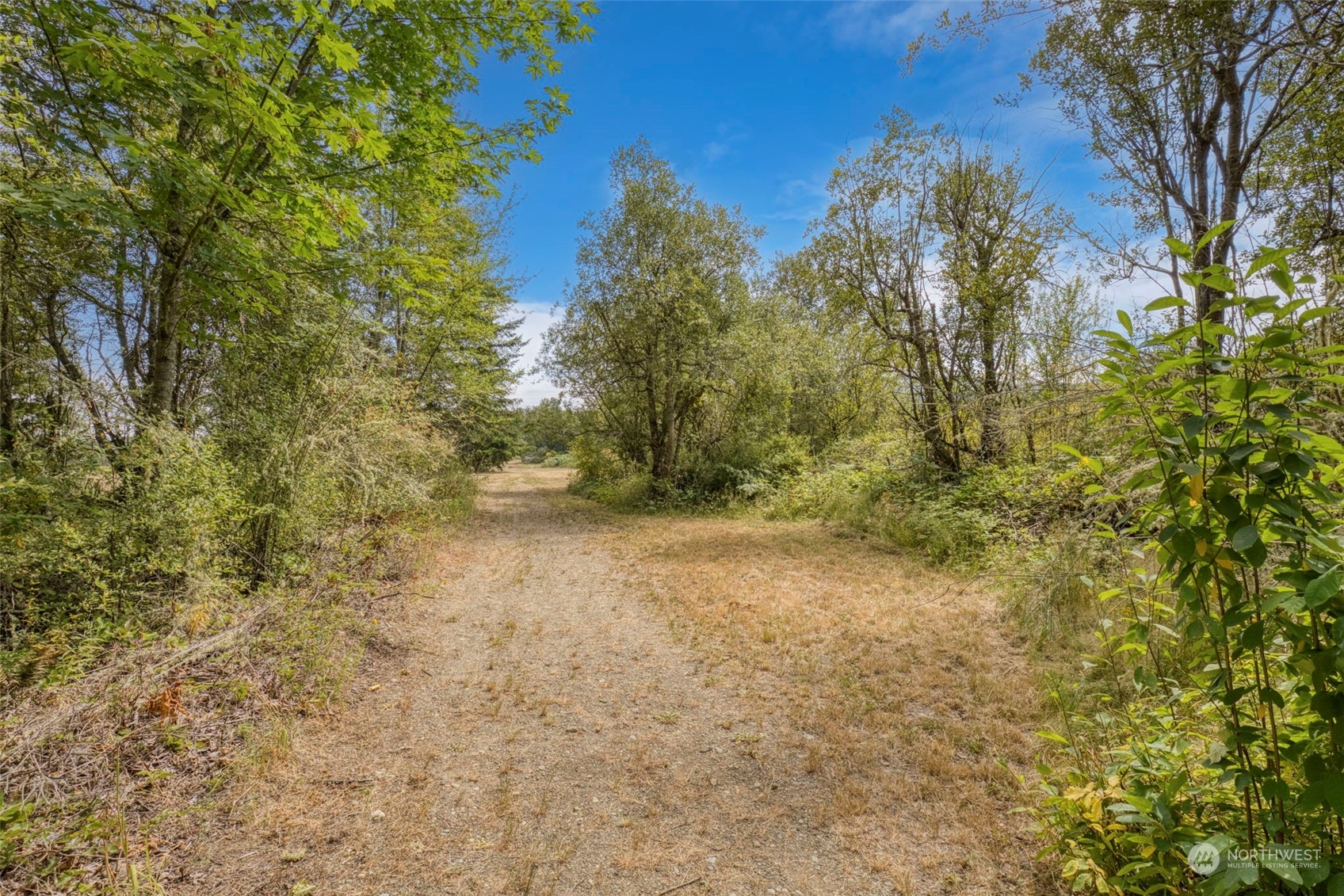 111 Daisey King Road Sequim, WA 98382 - Photo 15 of 17 Gallery Image 15