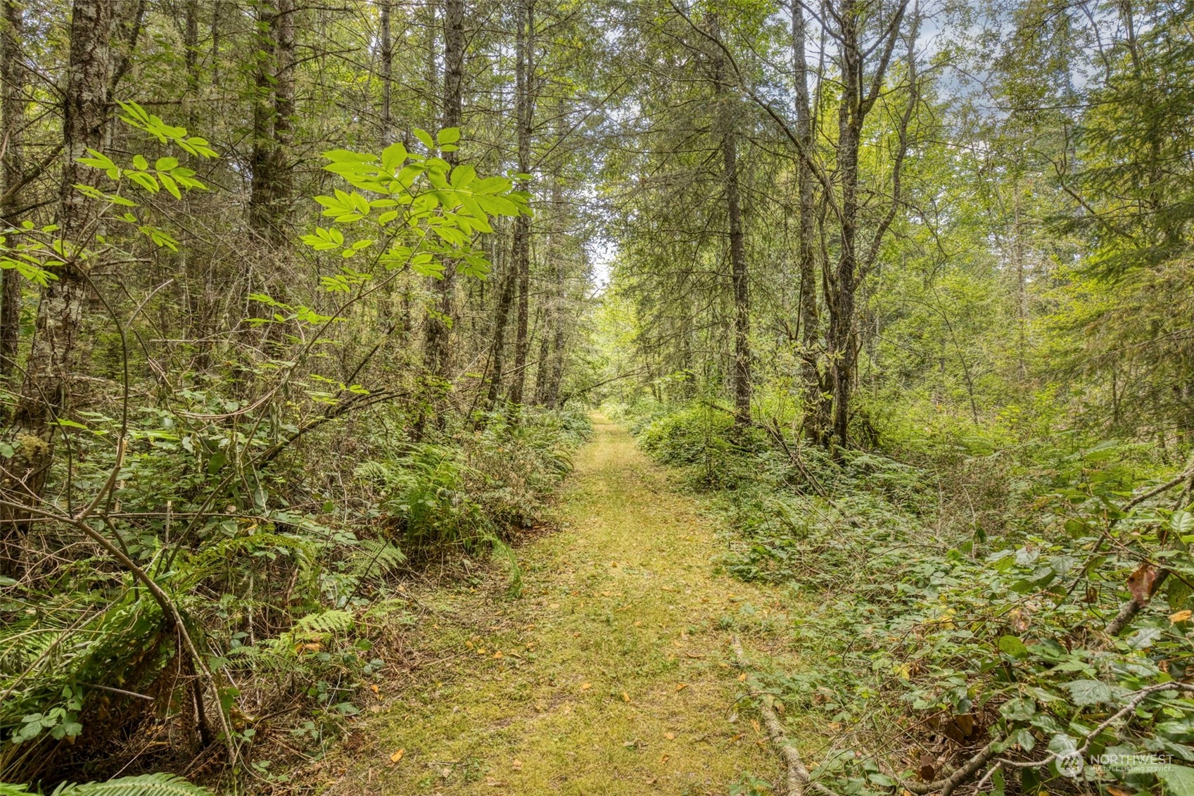 111 Daisey King Road Sequim, WA 98382 - Photo 17 of 17 Gallery Image 17