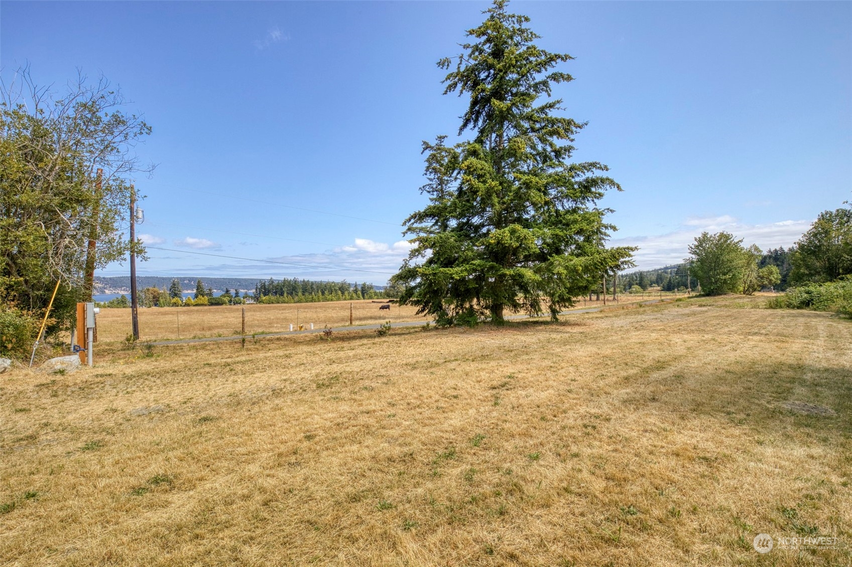 111 Daisey King Road Sequim, WA 98382 - Photo 10 of 17 Gallery Image 10