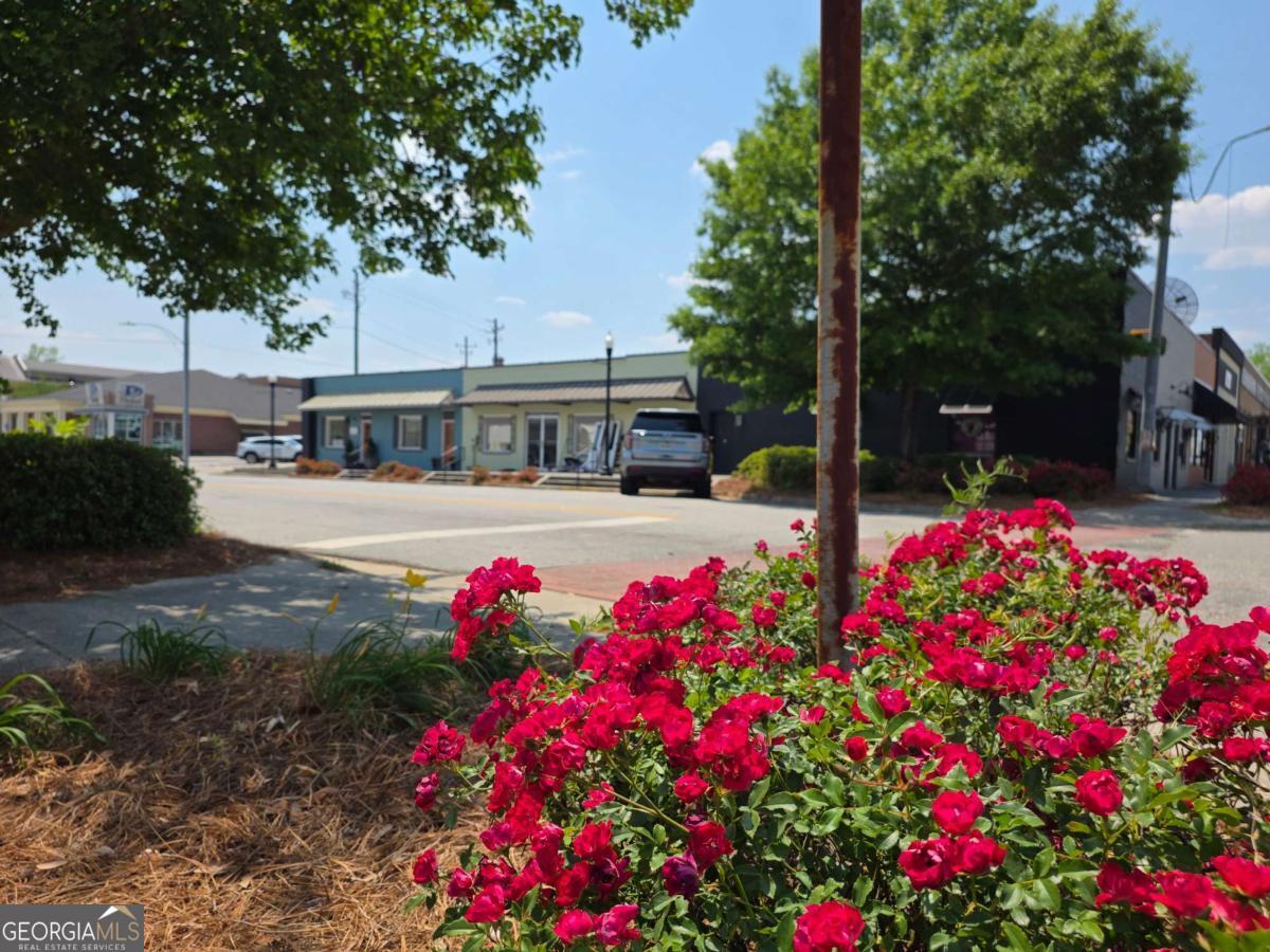 956 Donaldson Street Metter, GA 30439 - Photo 45 of 49 a view of street with flower garden and tree