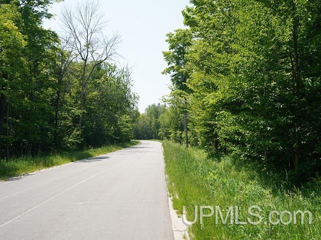 19110 West Diller Road Germfask, MI 49836 - Photo 24 of 28