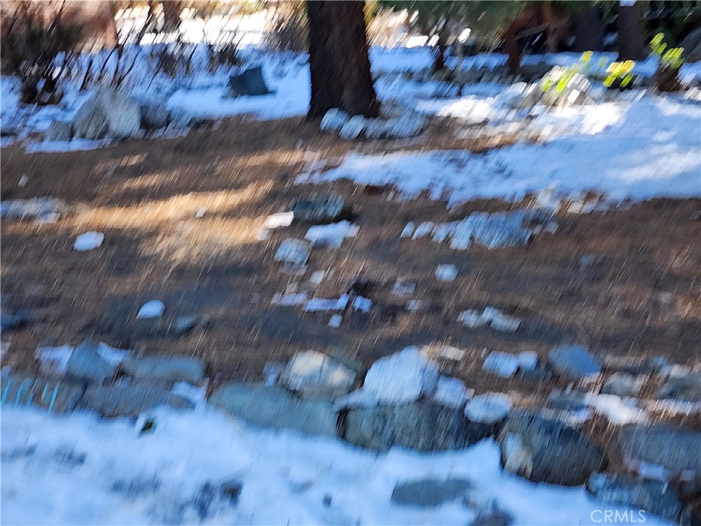 5464 Lone Pine Canyon Road Wrightwood, CA 92397 - Photo 11 of 18