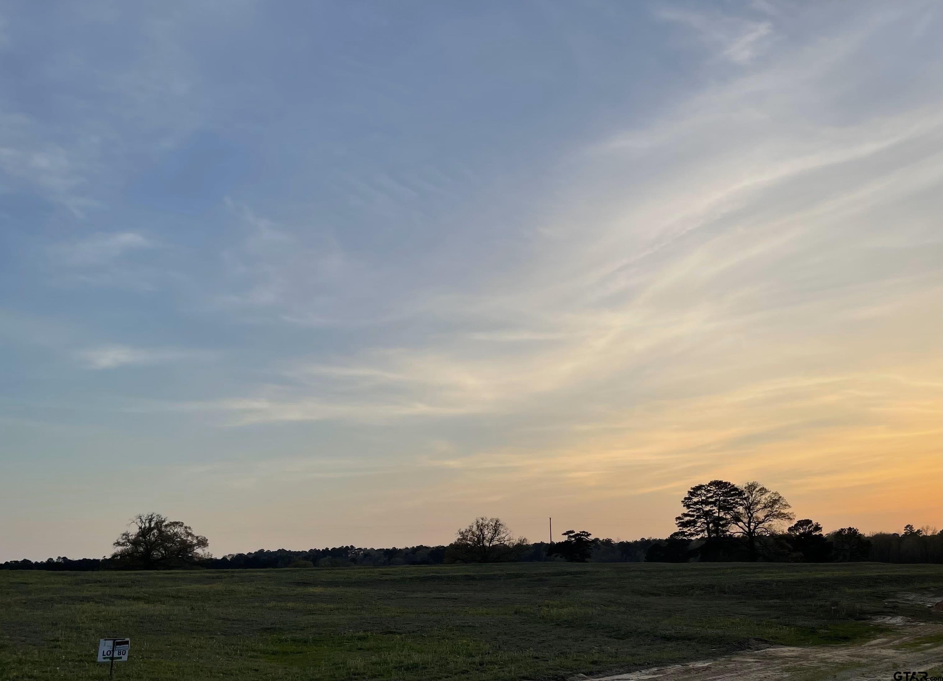 Lot 80 White Oak Creek Ranch Big Sandy, TX 75755 - Photo 6 of 7