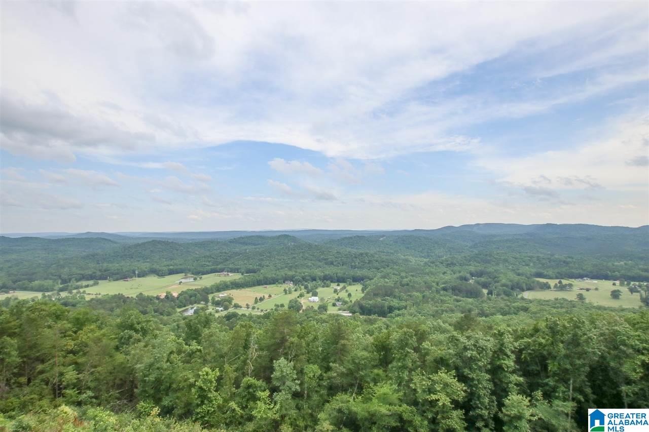 394 Drake Drive Springville, AL 35146 - Photo 45 of 49