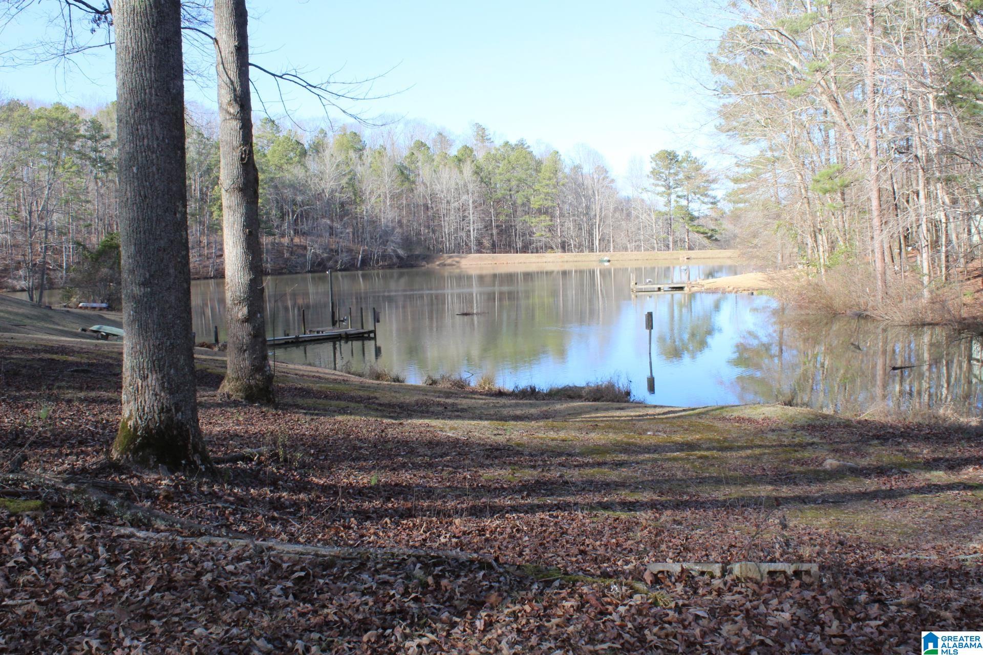 253 County Road 921 Delta, AL 36258 - Photo 31 of 36