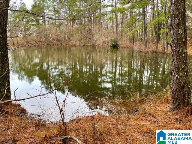 0 Deaver Walker Road Trafford, AL 35172 - Photo 11 of 28