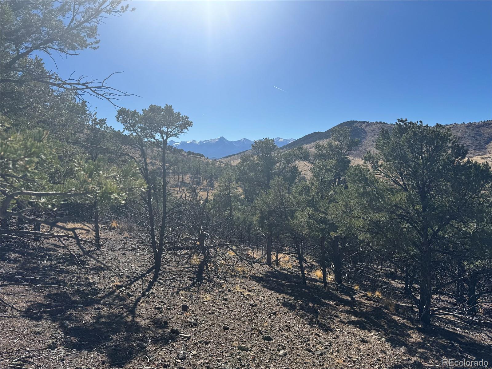 0 G Path Cotopaxi, CO 81223 - Photo 12 of 39 a view of a backyard of a house