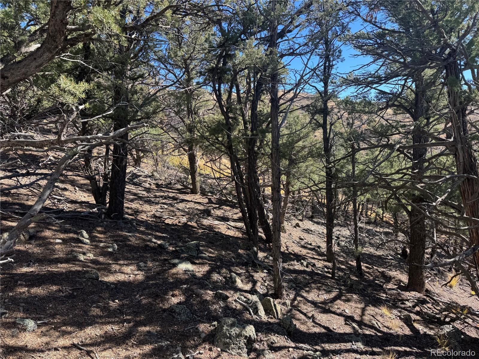 0 G Path Cotopaxi, CO 81223 - Photo 16 of 39