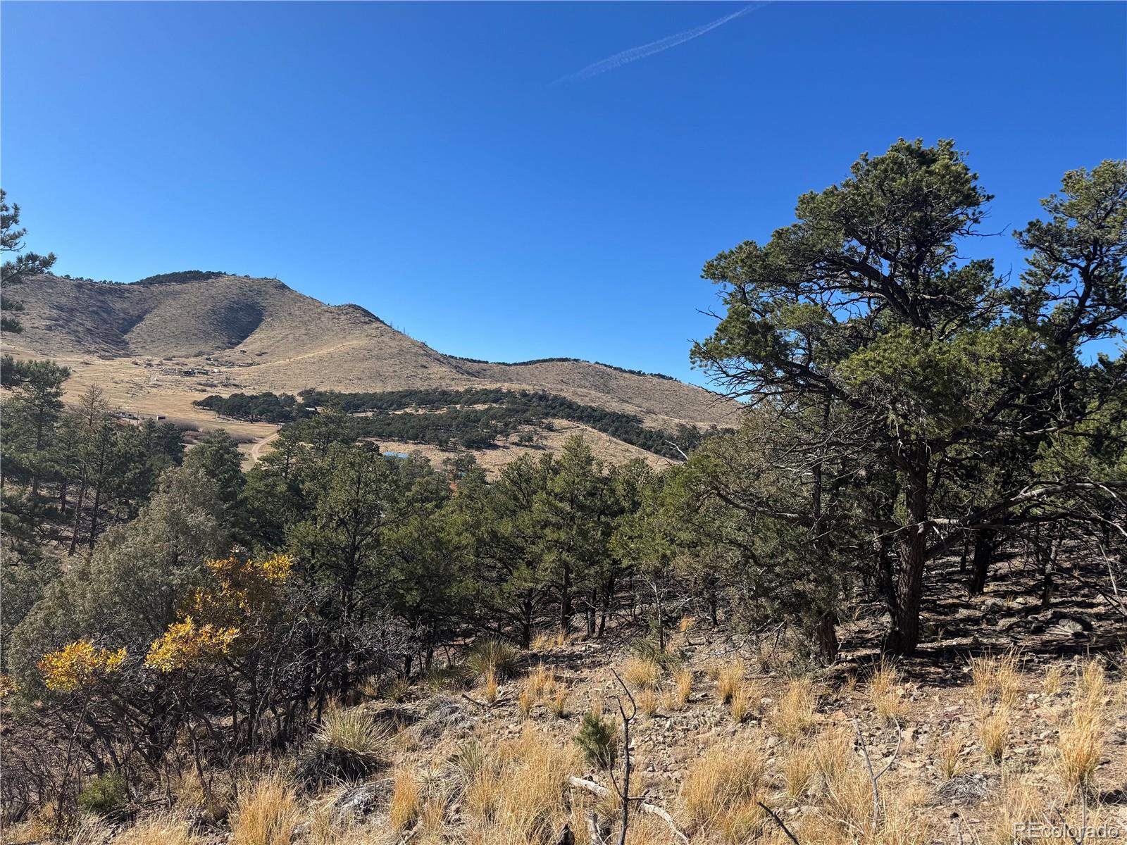 0 G Path Cotopaxi, CO 81223 - Photo 18 of 39 a view of a forest with a mountain in the background