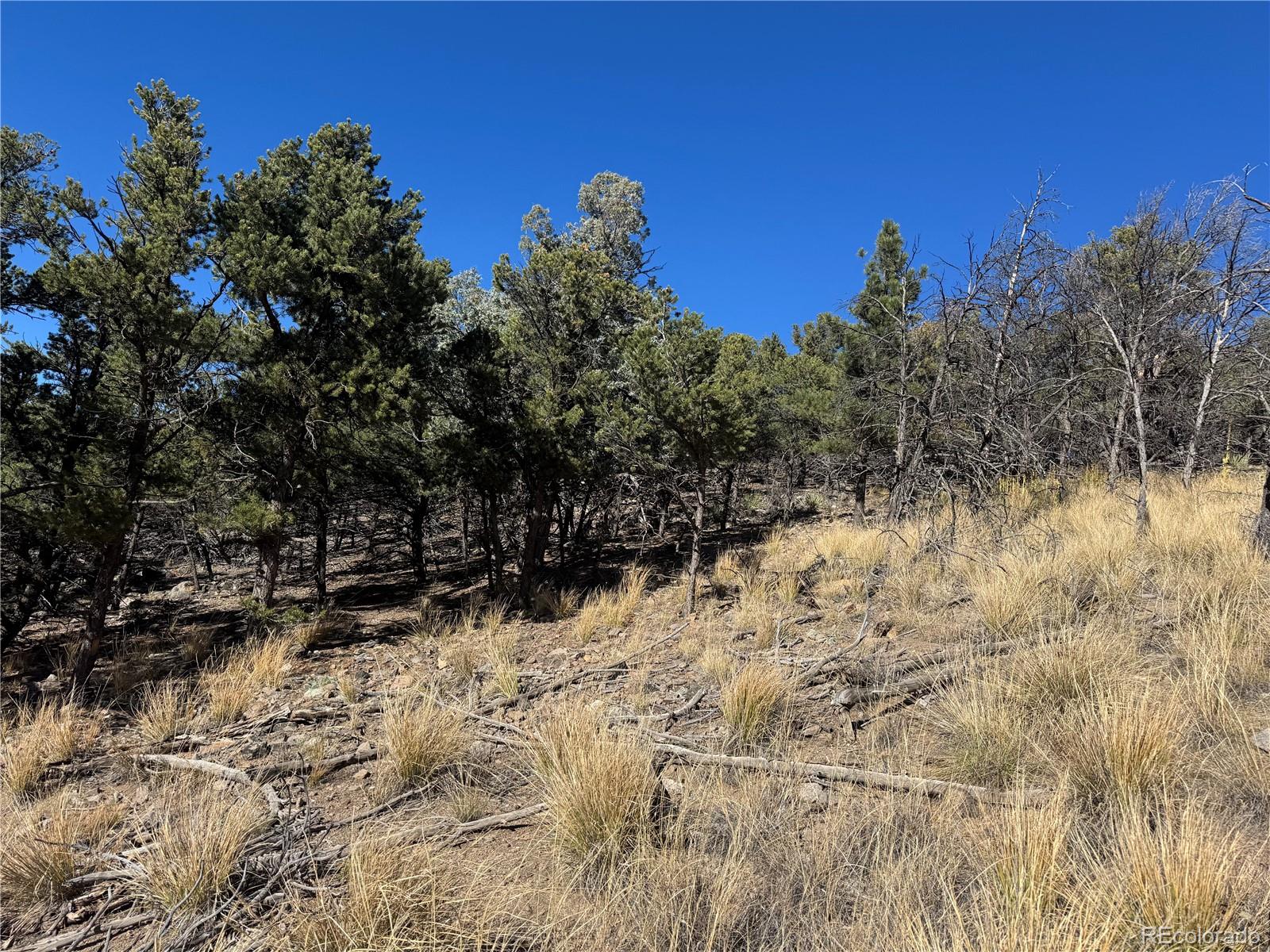 0 G Path Cotopaxi, CO 81223 - Photo 19 of 39 a view of a snow in a yard