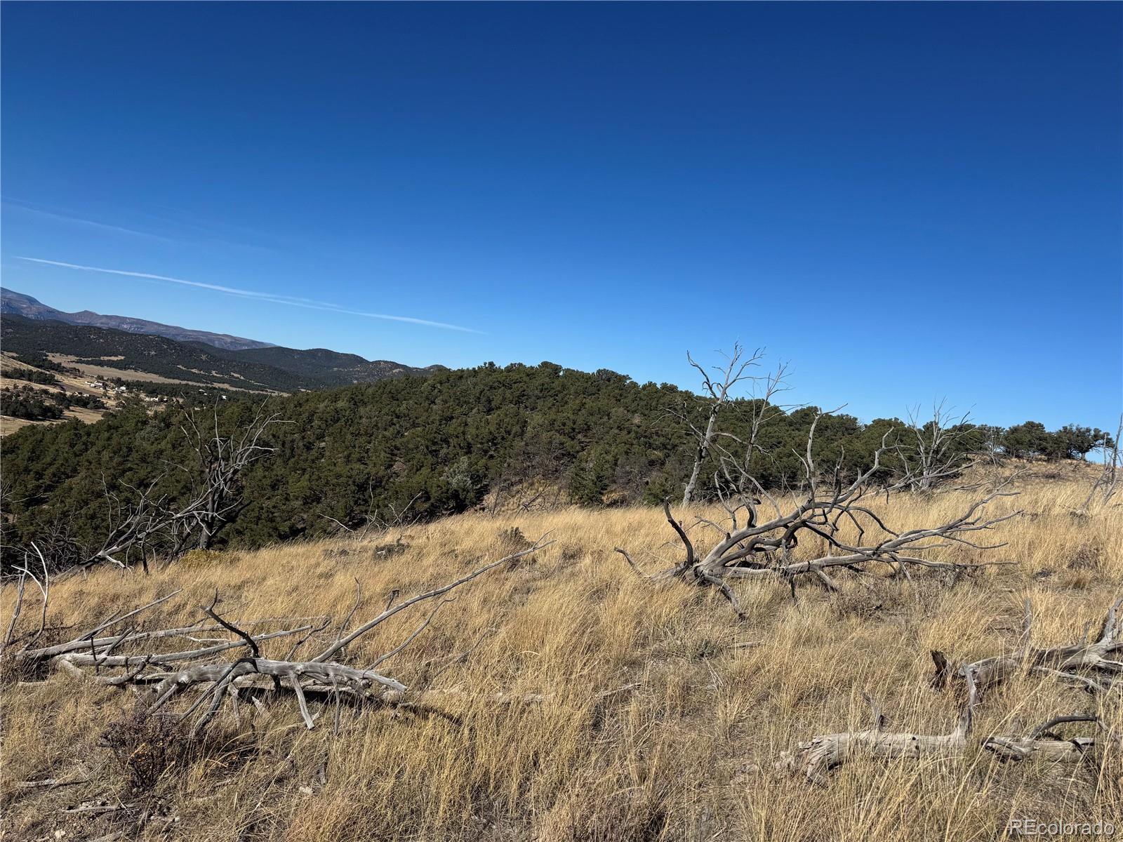 0 G Path Cotopaxi, CO 81223 - Photo 26 of 39 a view of mountain view with mountain