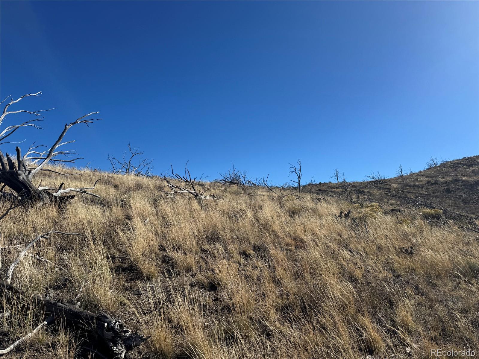 0 G Path Cotopaxi, CO 81223 - Photo 28 of 39 a view of a large building