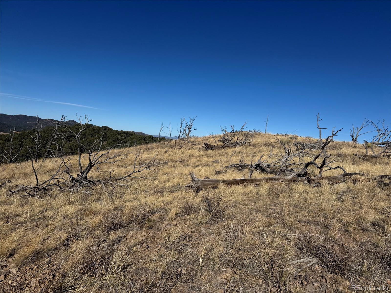 0 G Path Cotopaxi, CO 81223 - Photo 30 of 39 a view of a dry yard with a mountain in the background