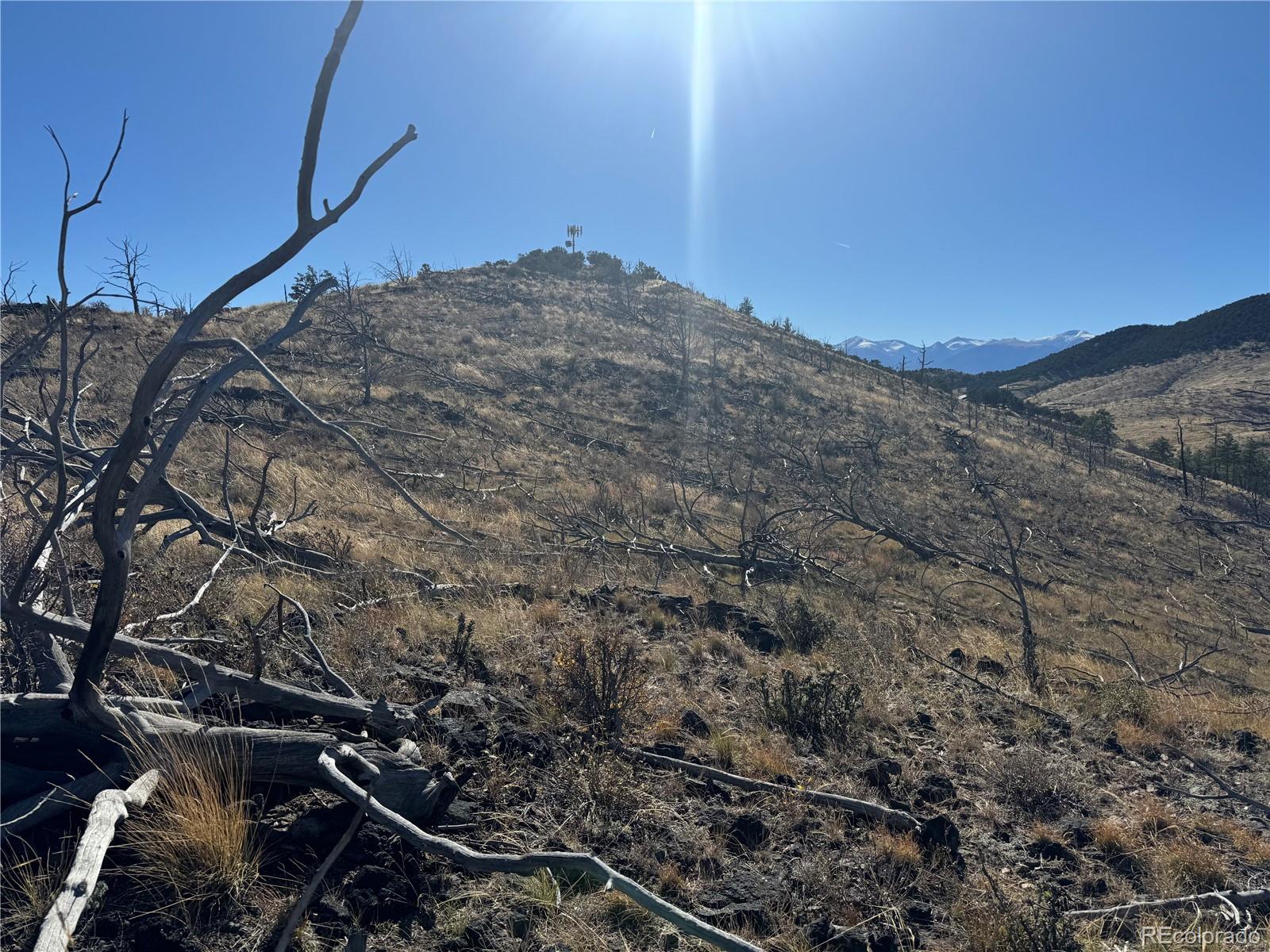 0 G Path Cotopaxi, CO 81223 - Photo 32 of 39 a view of a dry yard