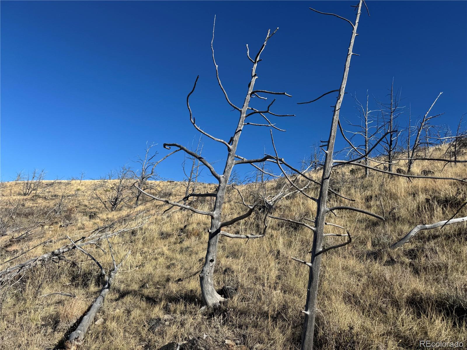 0 G Path Cotopaxi, CO 81223 - Photo 35 of 39 a view of a backyard of the house