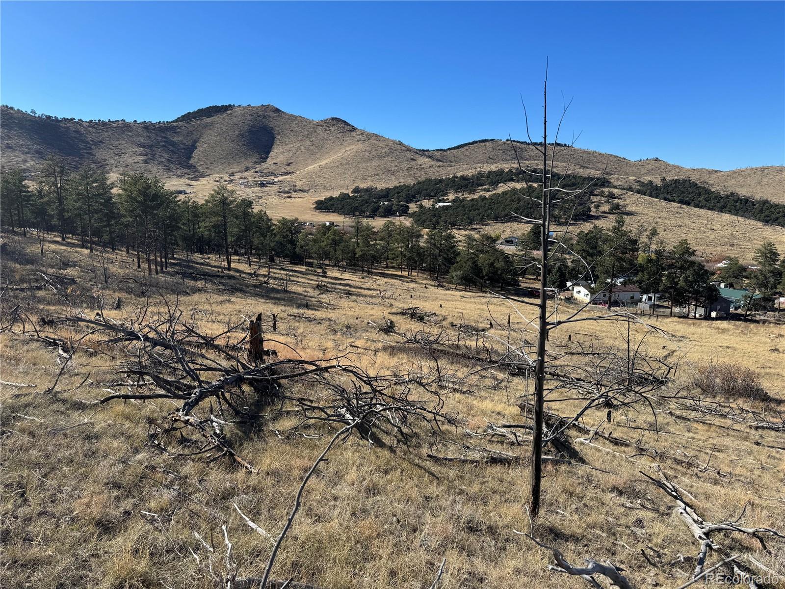 0 G Path Cotopaxi, CO 81223 - Photo 36 of 39 a view of a yard with a tree