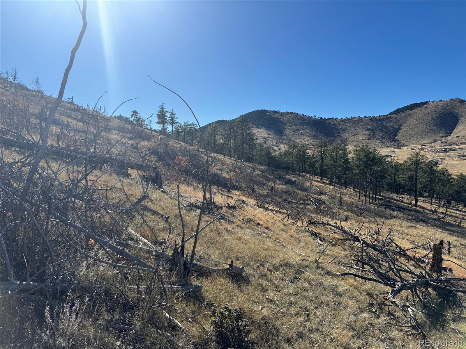 0 G Path Cotopaxi, CO 81223 - Photo 37 of 39 a view of a dry yard with mountains in the background