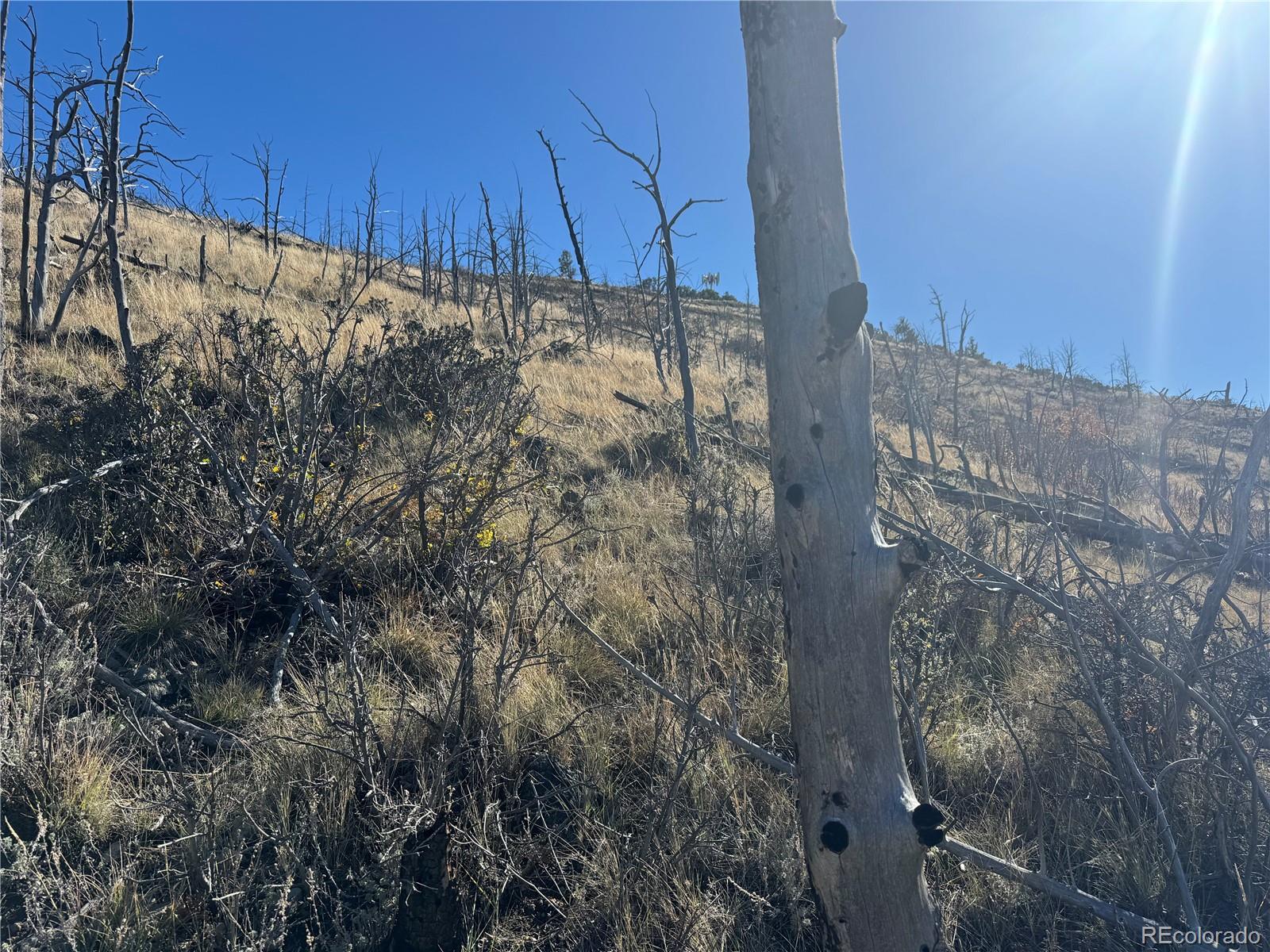 0 G Path Cotopaxi, CO 81223 - Photo 38 of 39 a view of a dry yard with wooden fence
