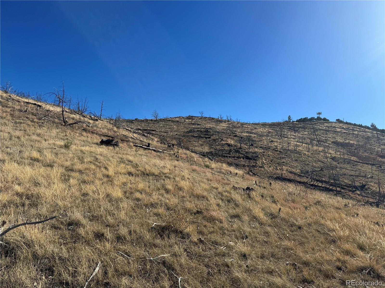 0 G Path Cotopaxi, CO 81223 - Photo 39 of 39