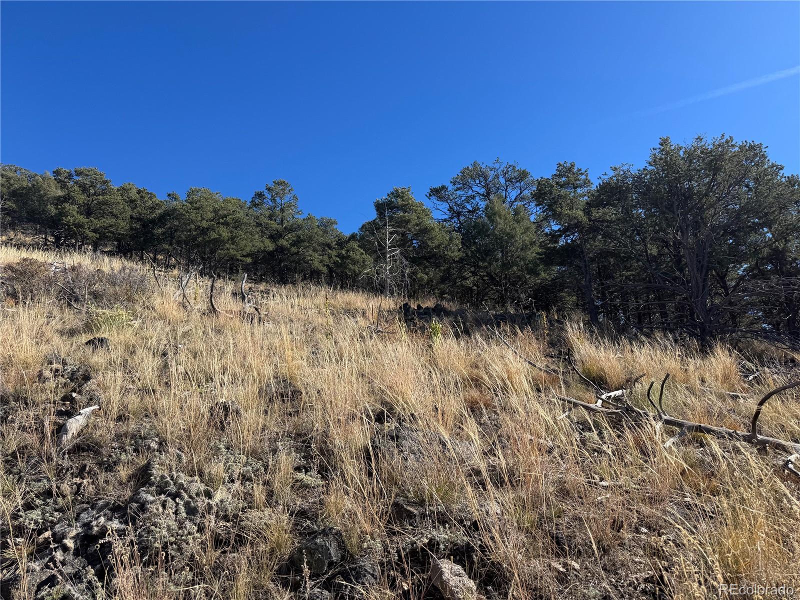 0 G Path Cotopaxi, CO 81223 - Photo 4 of 39 a view of a lake with houses in back