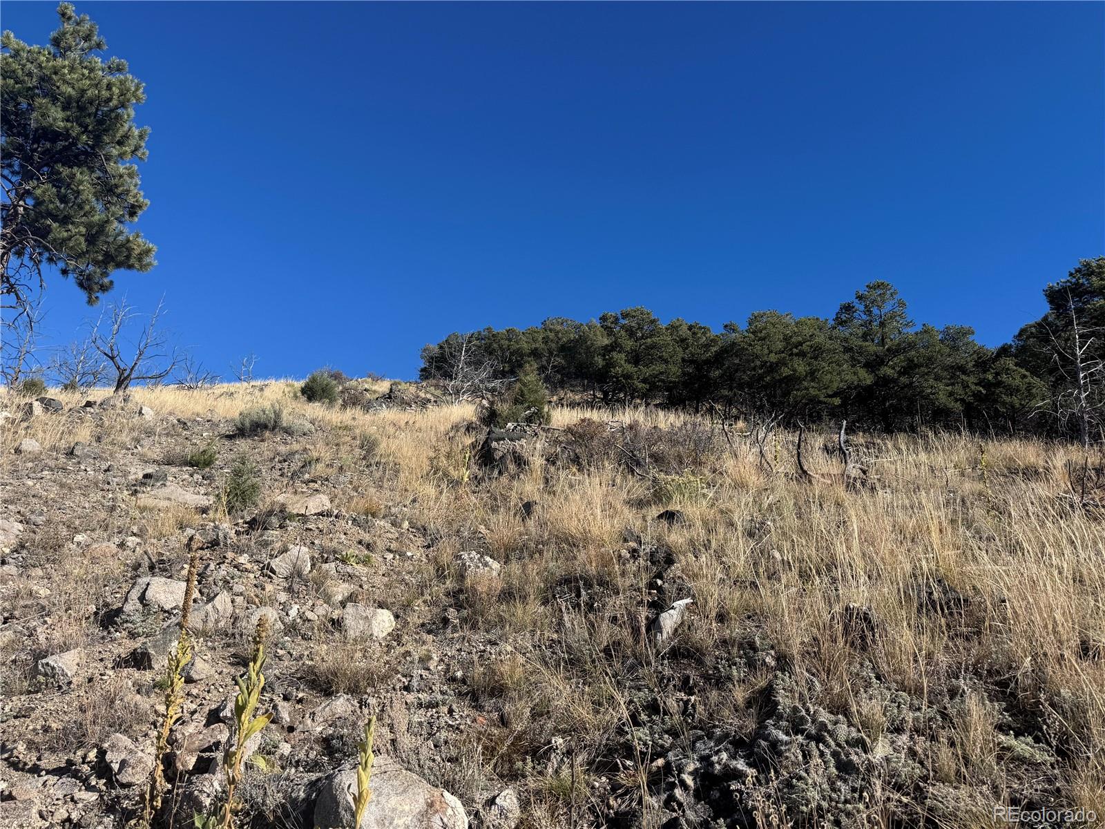 0 G Path Cotopaxi, CO 81223 - Photo 5 of 39 a view of a yard with a mountain