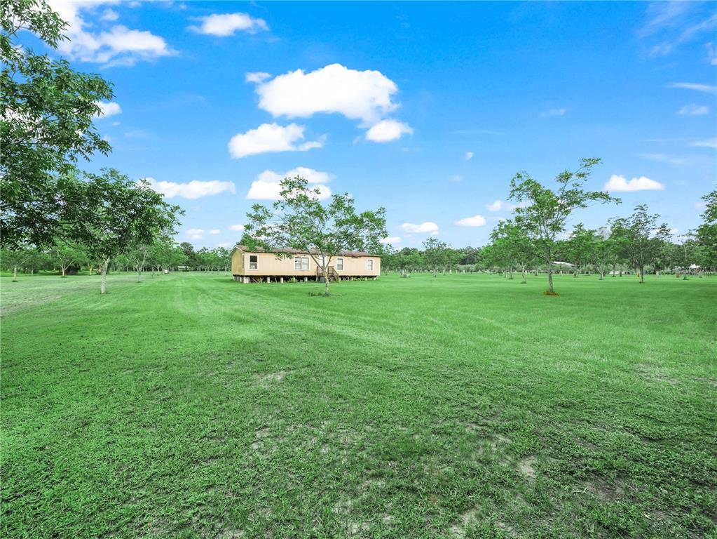 8564 Carey Road Lithia, FL 33547 - Photo 4 of 9