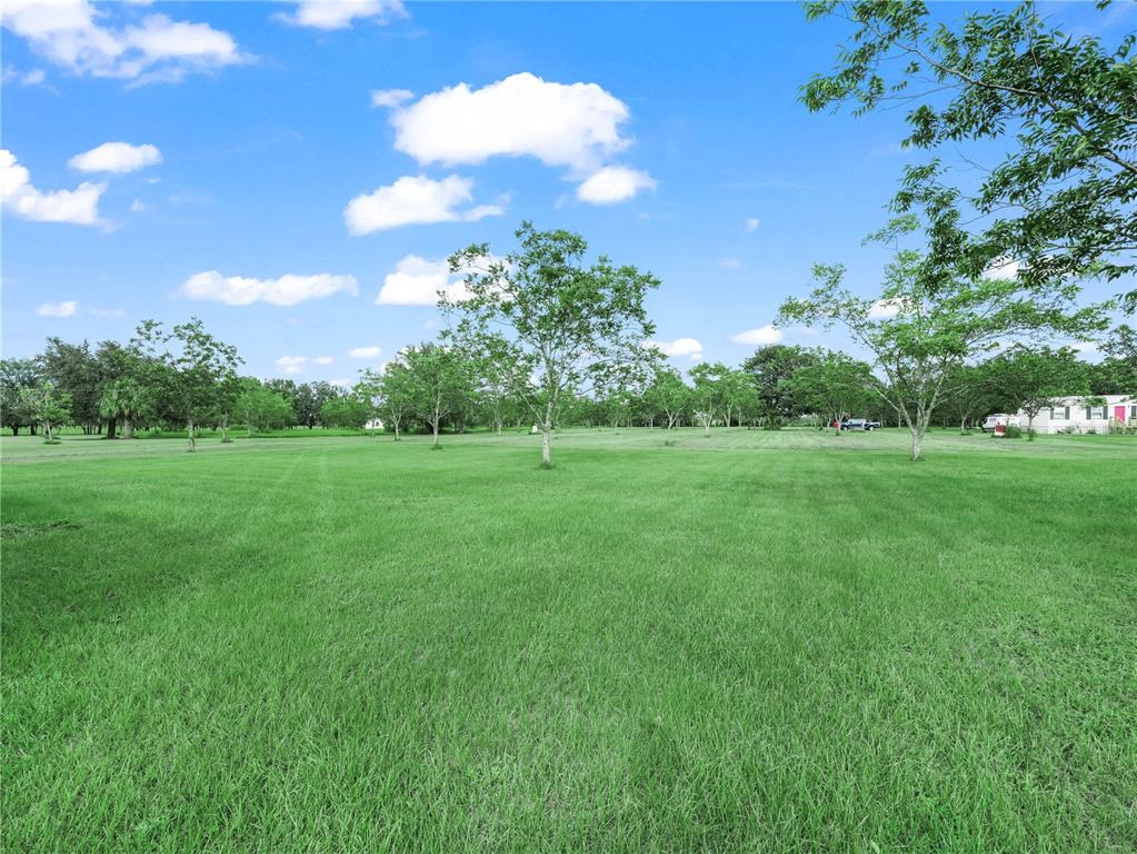 8564 Carey Road Lithia, FL 33547 - Photo 7 of 9