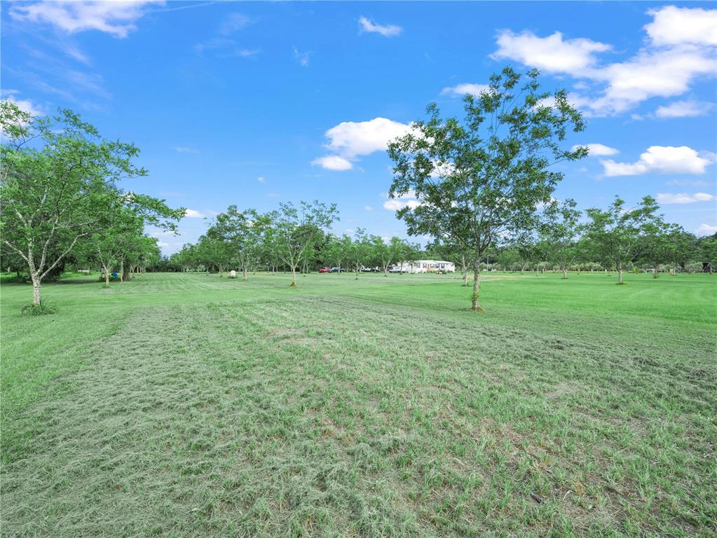 8564 Carey Road Lithia, FL 33547 - Photo 8 of 9