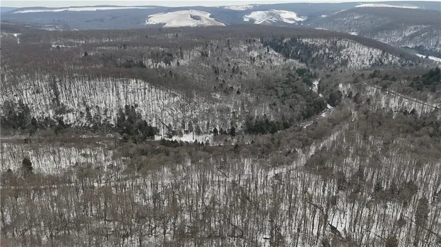 $900,000 | 0 Rexis Road, Vintondale, PA 15961